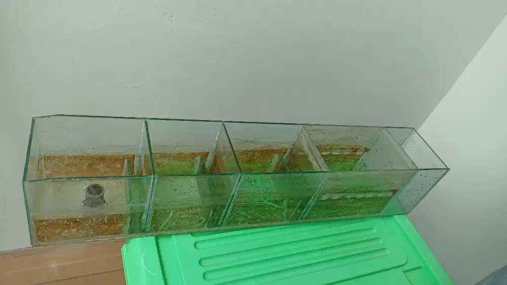 Filter talang kaca aquarium akuarium aquascape ikan hias bekas 90cm bu
