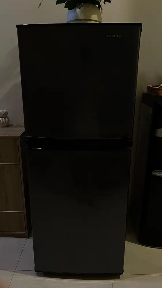 kulkas sharp 2 pintu second