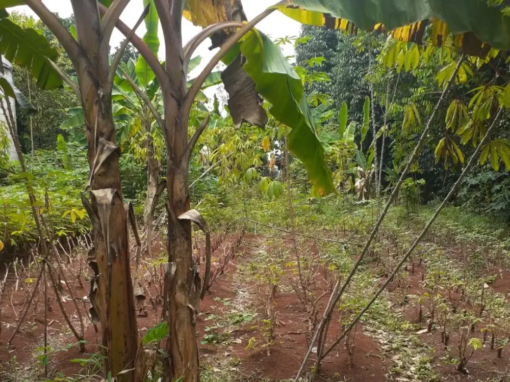 Tanah 979 m² di Cinangka Sawangan, Depok