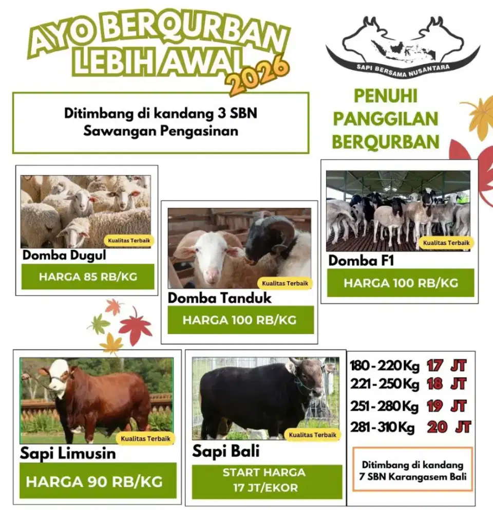 Hewan kurban korban qurban qurban murah sehat amanah
