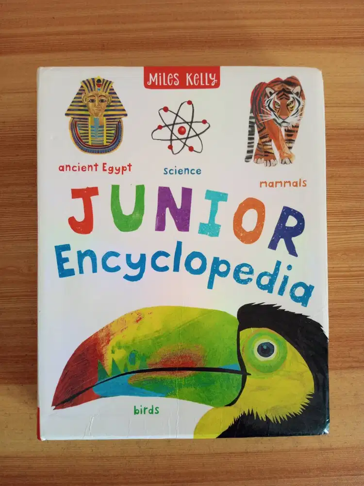 Buku Junior Picture Dictionary by Miles Kelly