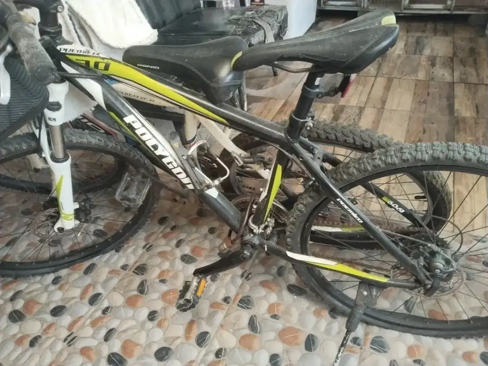 Jual Cepat Sepeda Gunung Polygon & Genio