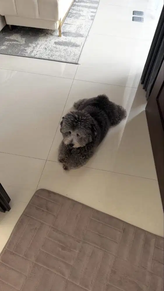 Dicari Art Momong/ Suster Newborn/ Sus Semi NGINAP