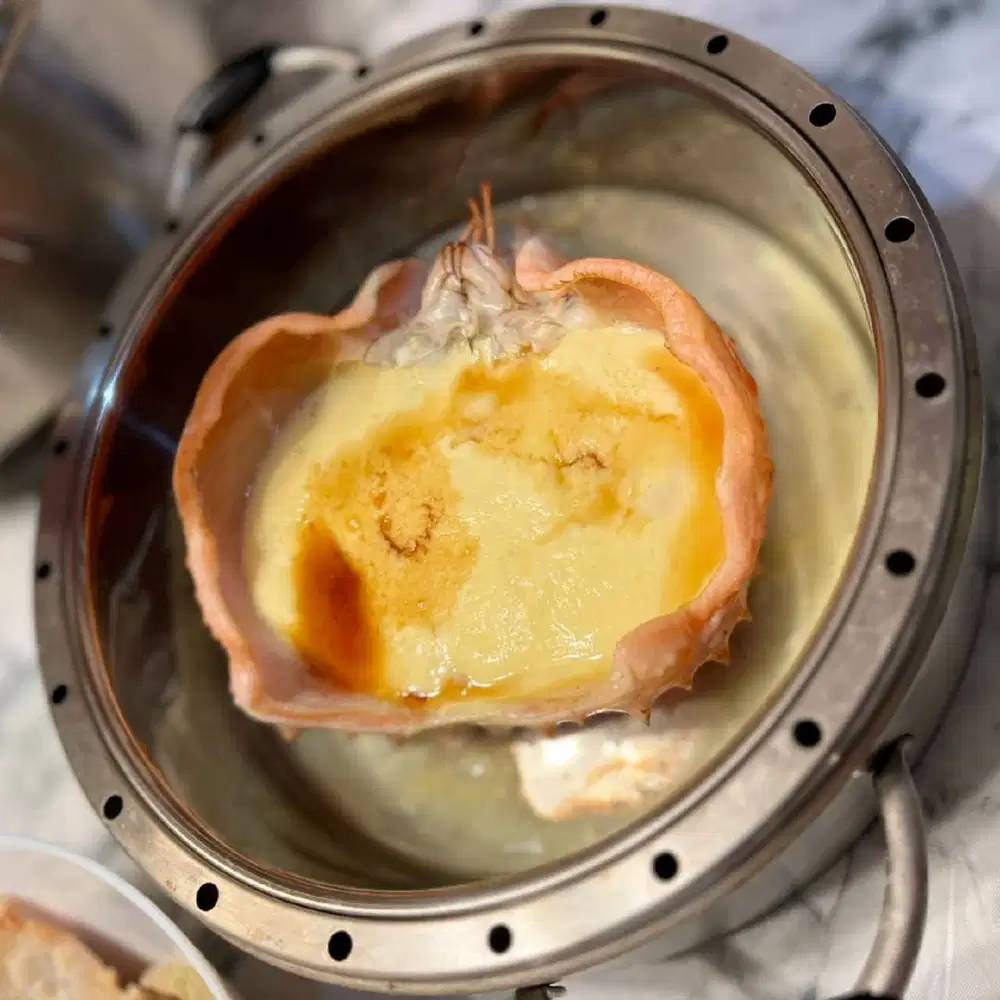 HOST LIVE, bisa bergabung secepatnya !!!