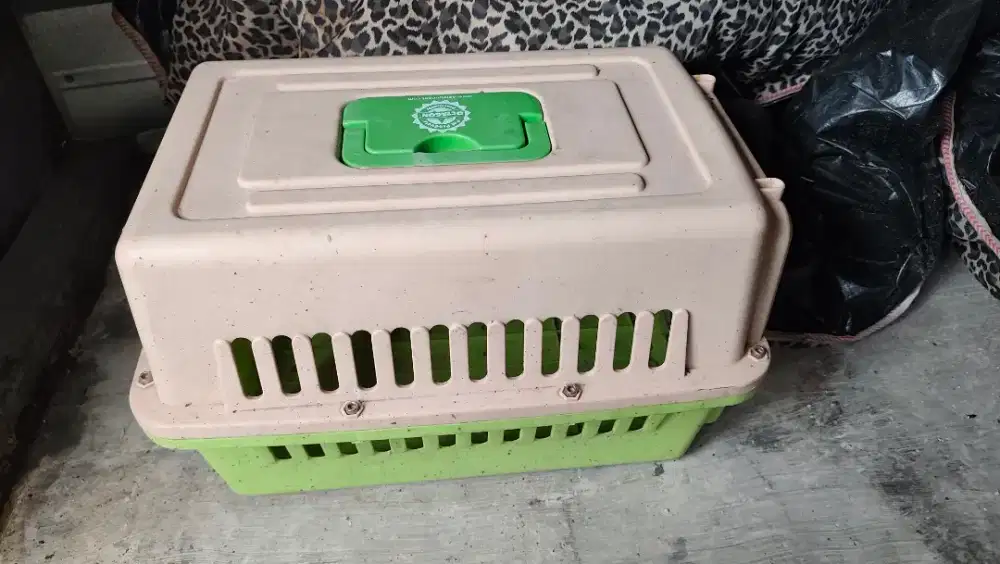 Perlengkapan kucing kesayangan