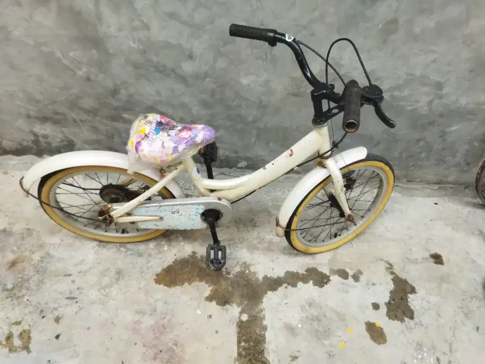 Sepeda anak 18