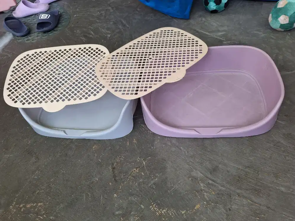 Tempat pipis anabul msh spt baru