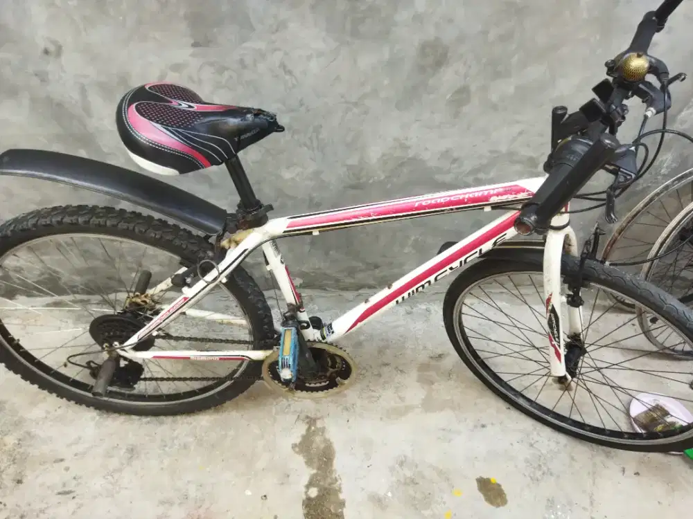 Sepeda gunung wimcykle 26