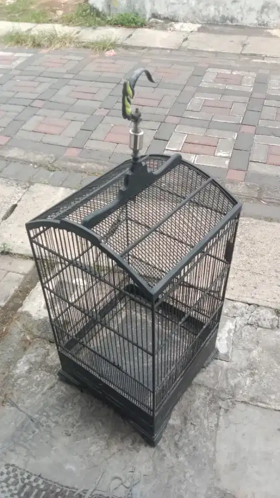 Sangkar kosan uk 40 x 40