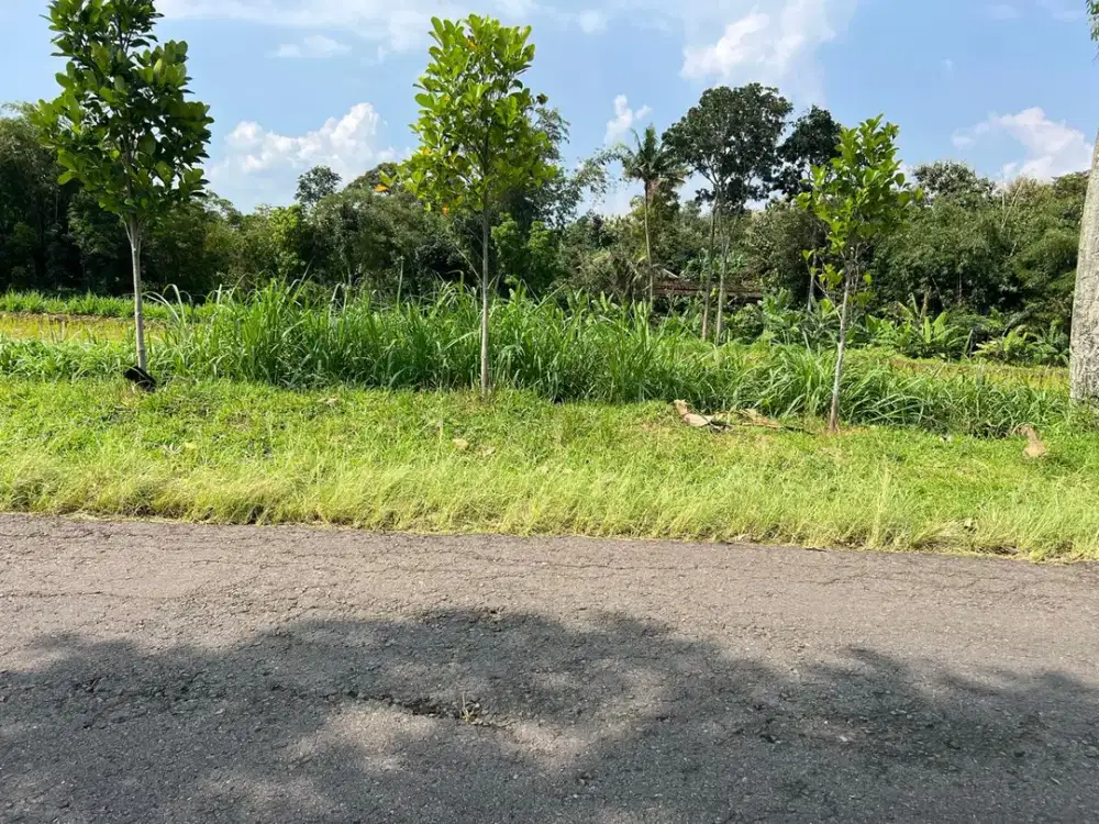 Tanah Datar Strategis 1500m2 Mojogedang Karanganyar