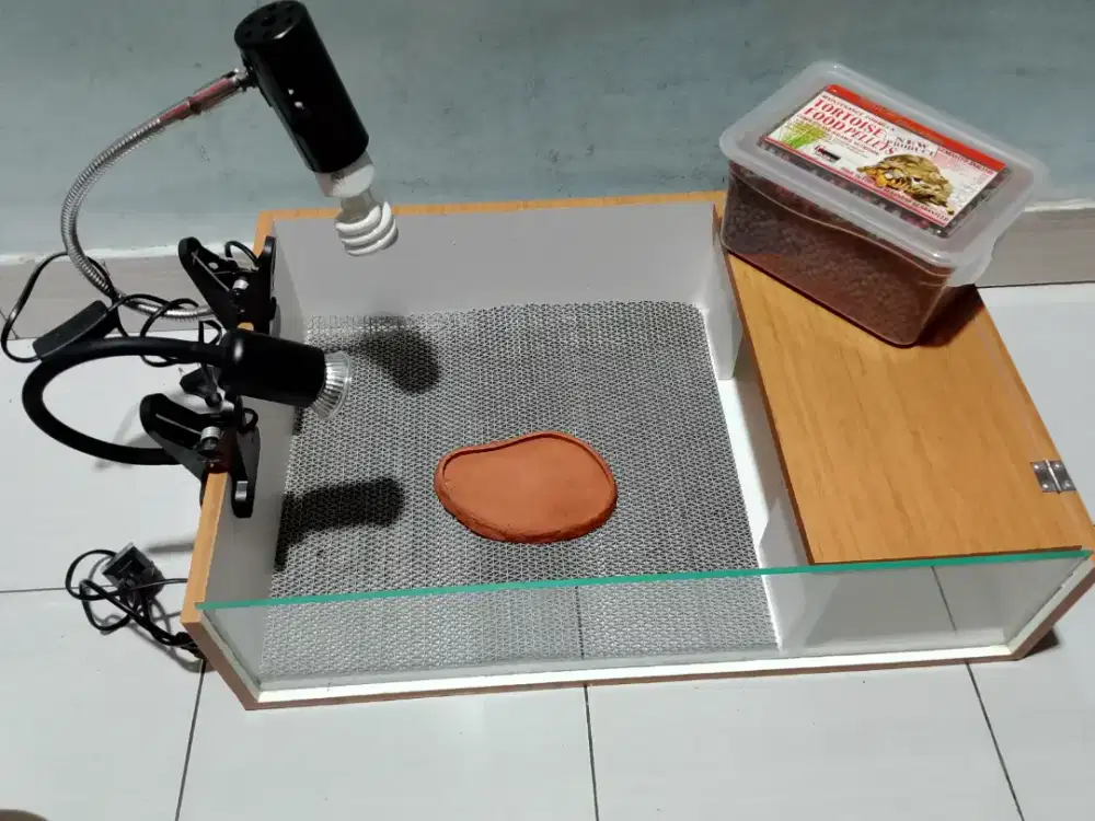 Kandang sulcata kura kura darat torto table