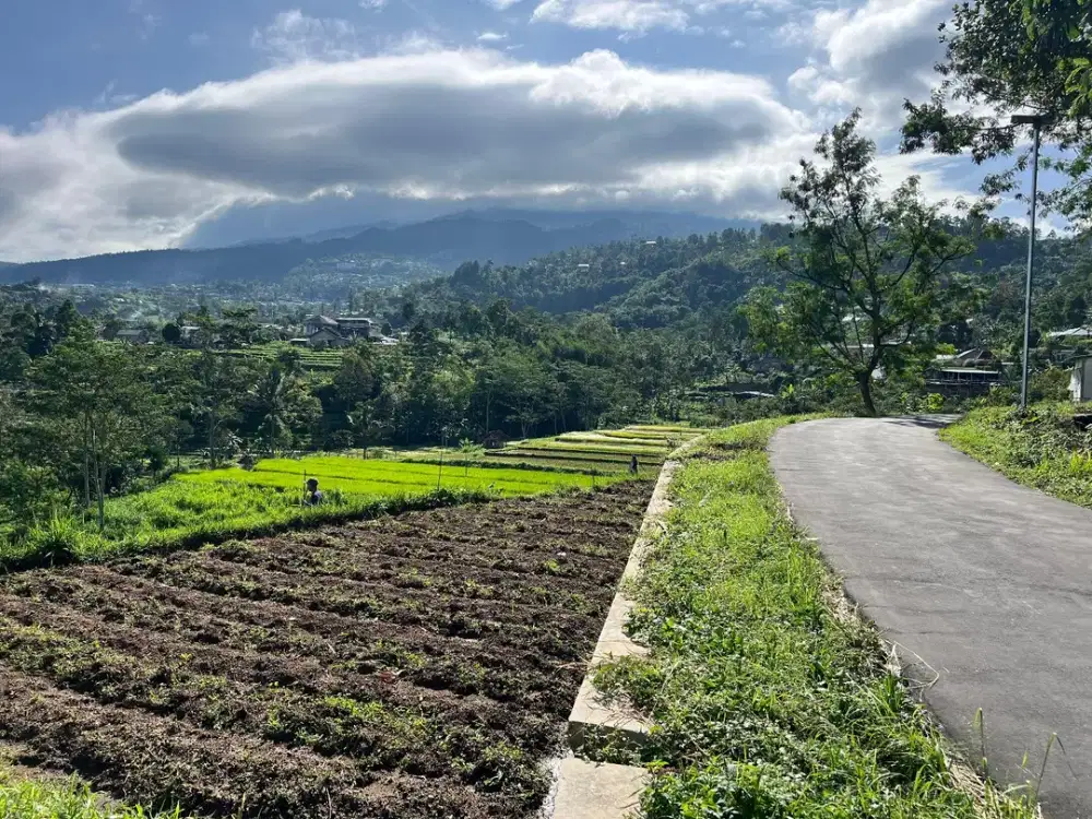 Tanah View Gunung Lawu 325m2 Karangpandan