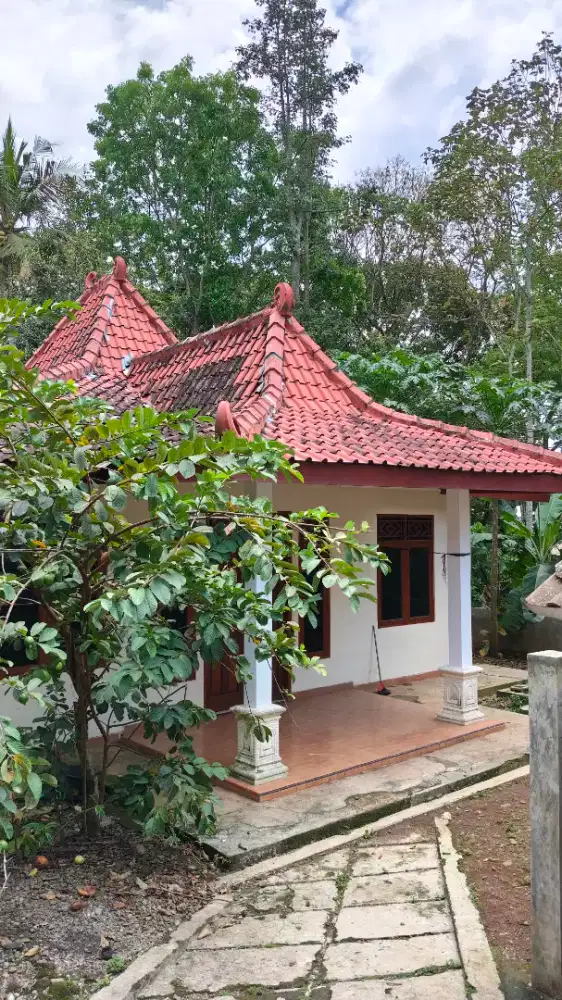 Dijual Tanah dan Rumah Murah di Kemiri Candi, Kota Salatiga