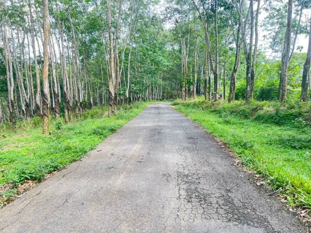 Tanah Wisata 2165m2 Kemuning Karanganyar