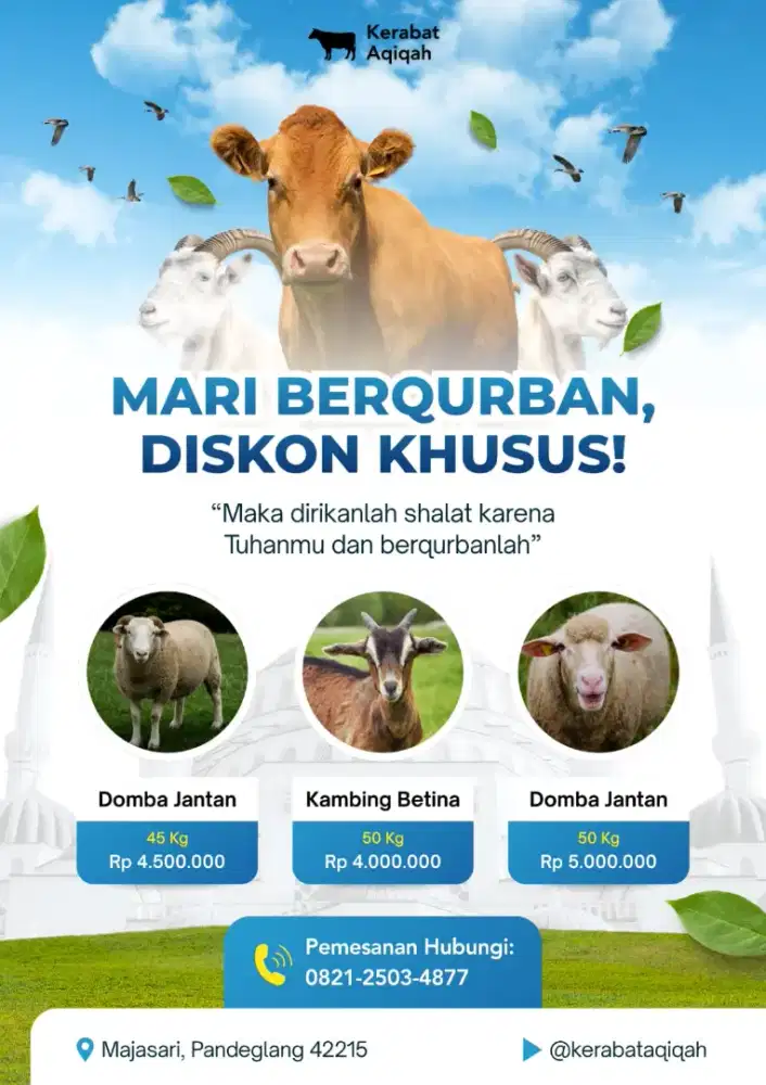 Kambing Kurban Murah