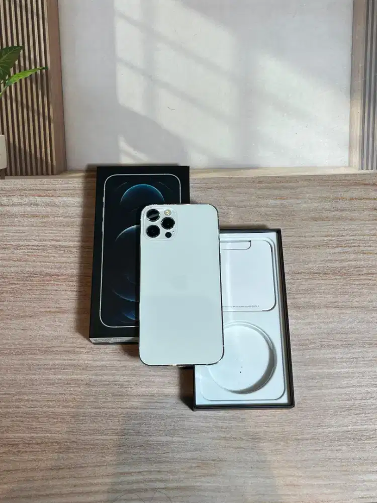 Iphone 12 pro silver