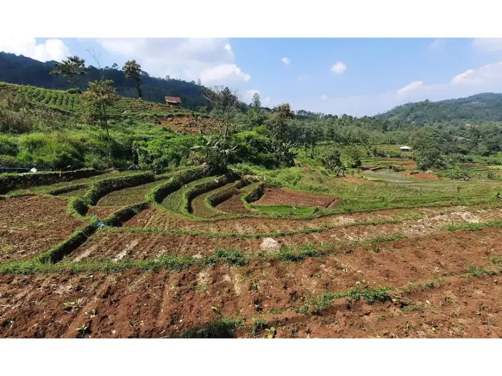 Lahan Sawah Pertanian Terasering di Ciawitali – Dekat Jalan Raya & Stasiun Nagreg