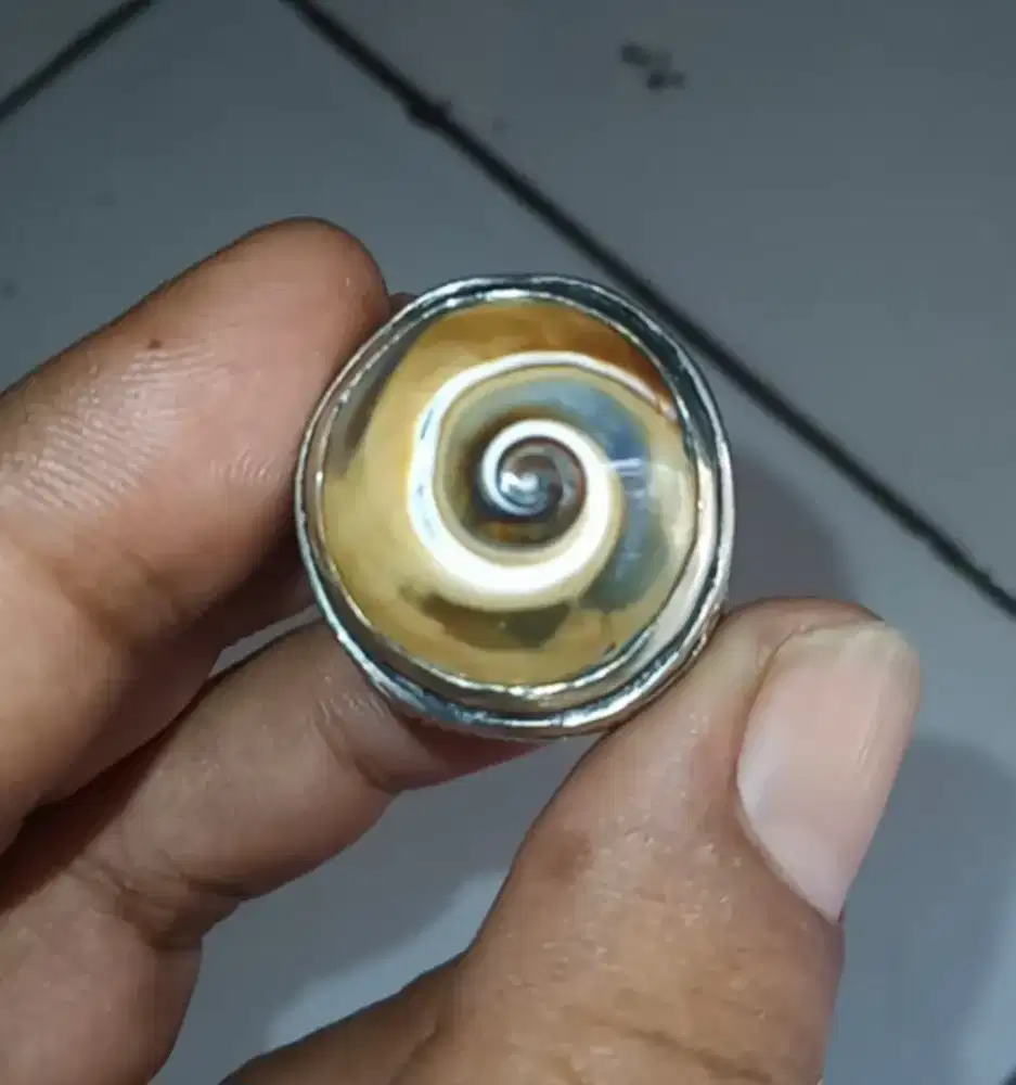Batu cincin akik fosil keong
