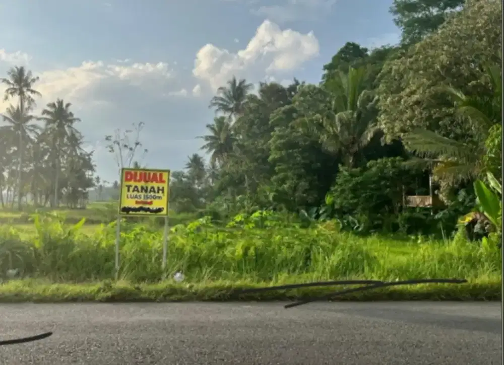 Tanah pingir jalan  utama Samping RSUD pesawaran