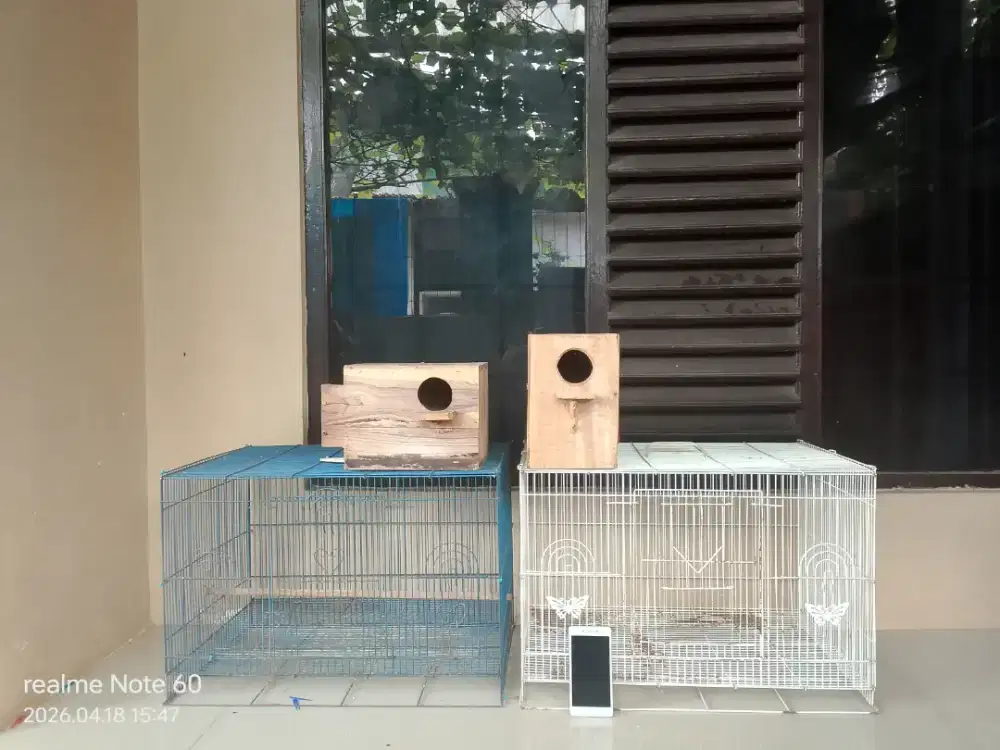 Borongan kandang & hp