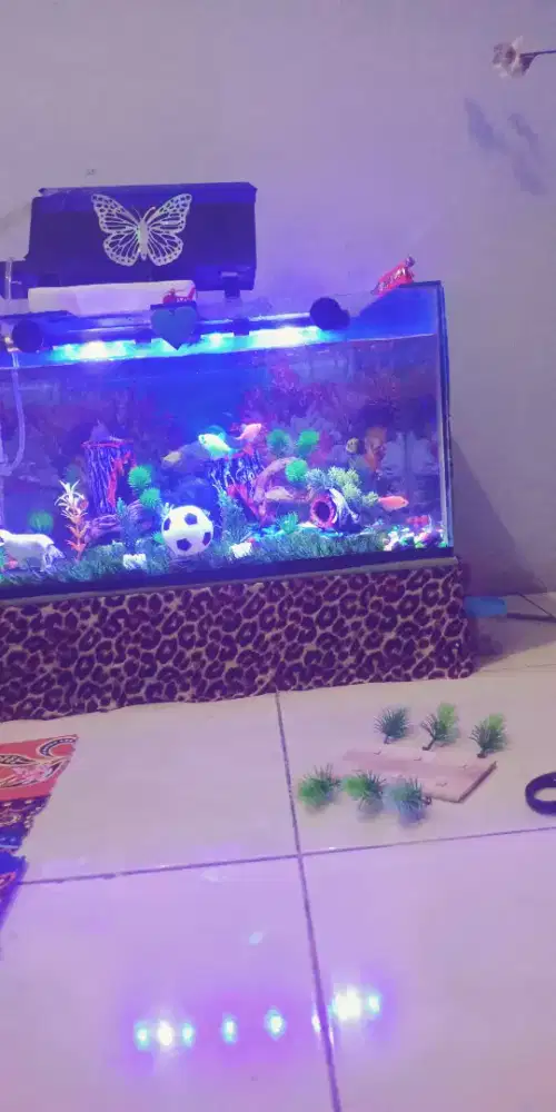 Aquarium lengkap di jual mau pindah rumah