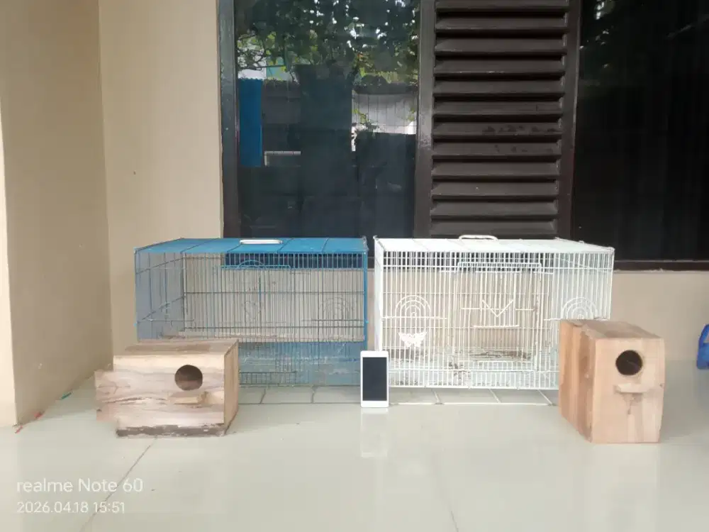 2 kandang, 2 Glodok & hp oppo