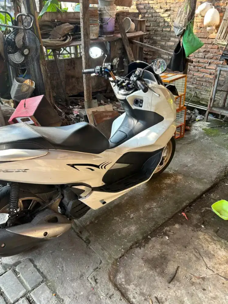 PCX 2019 pajak hidup