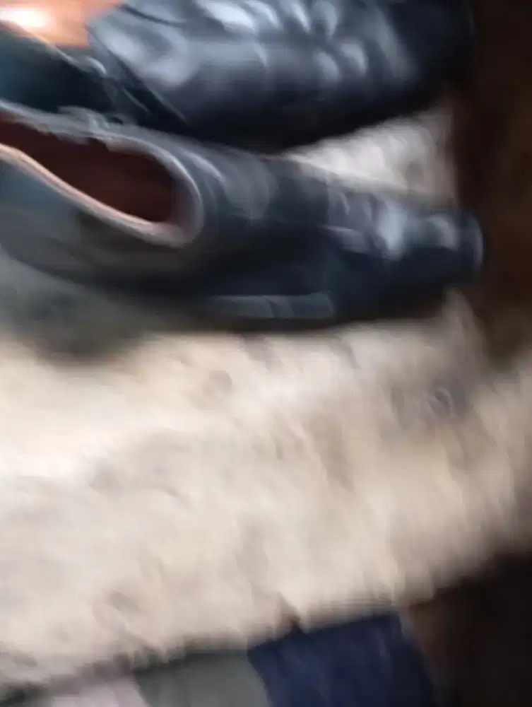 Jula sepatu kulit asli 100 k