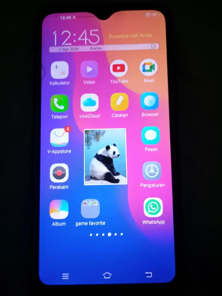 Vivo second normal