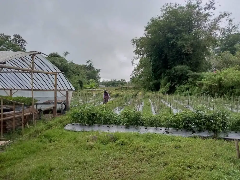 Tanah DIJUAL cocok untuk USAHA