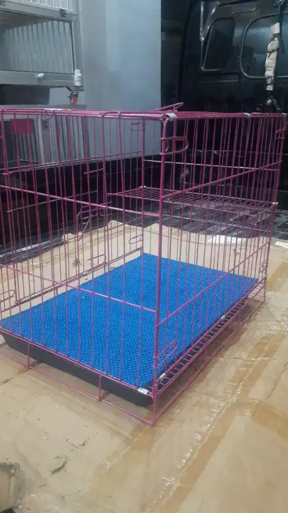 Kandang kucing bagus