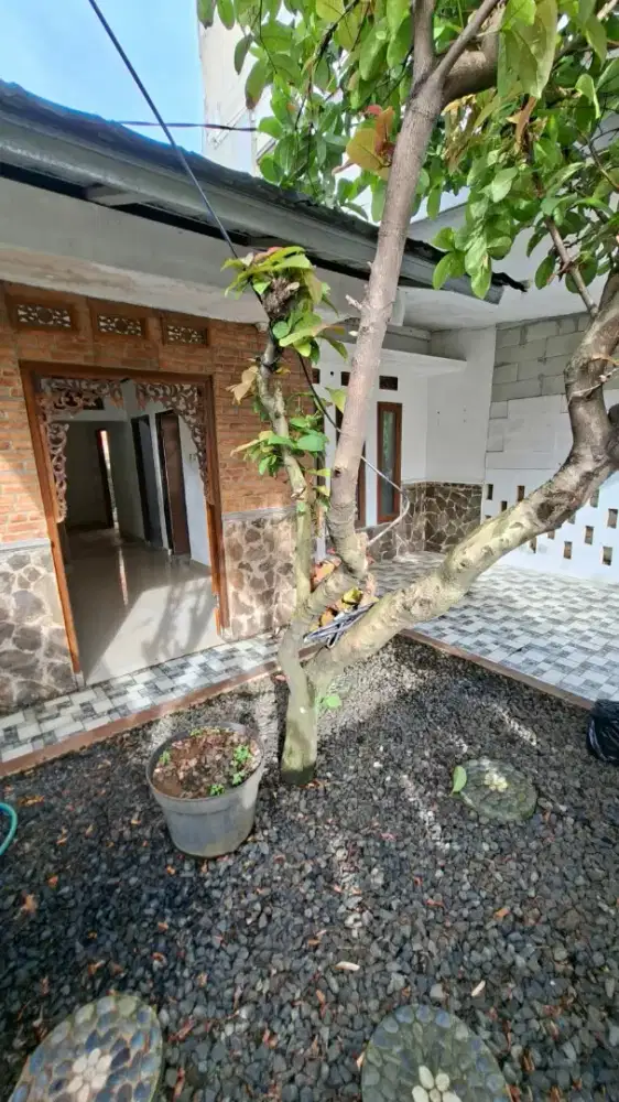 Disewa rumah di orchid green park