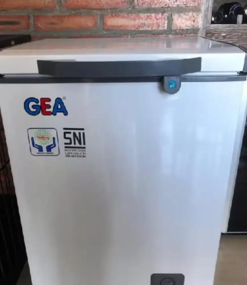 Freezer GEA 100L 220V 80 watt 60kg