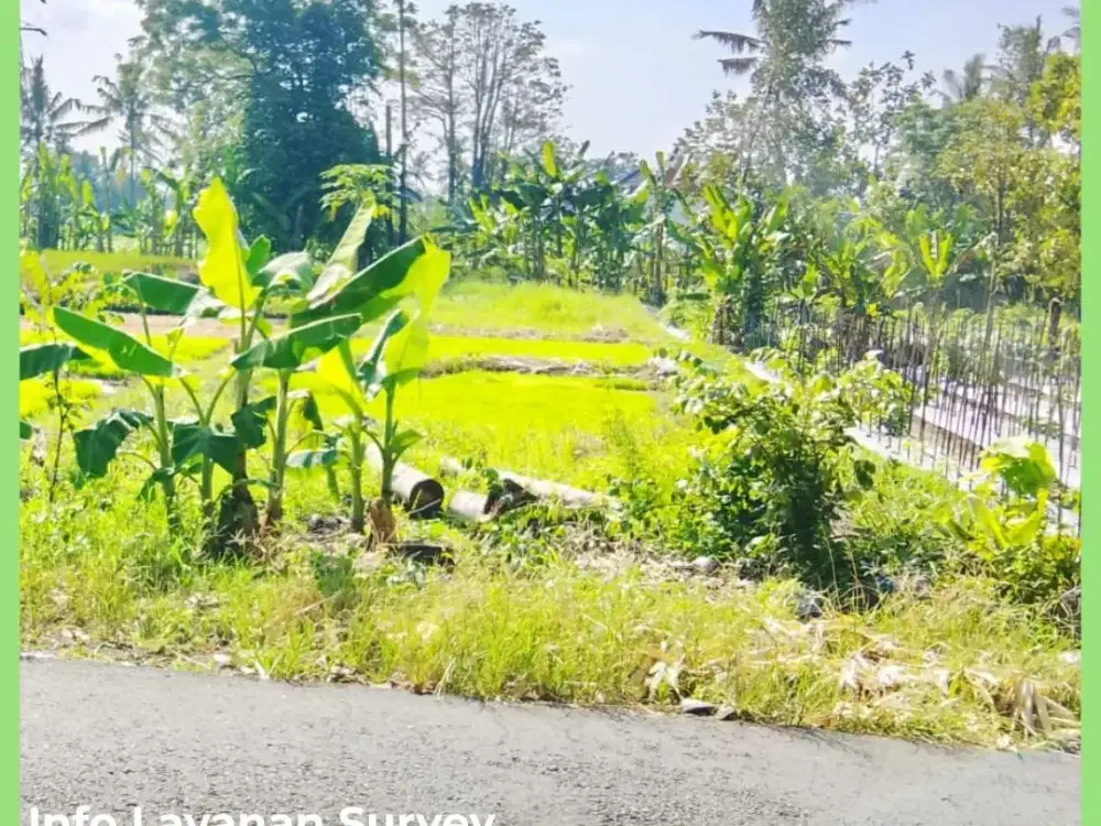 Tanah Jogja Mangku Jl Aspal 2 Menit Dari Pasar Gentan Kaliurang