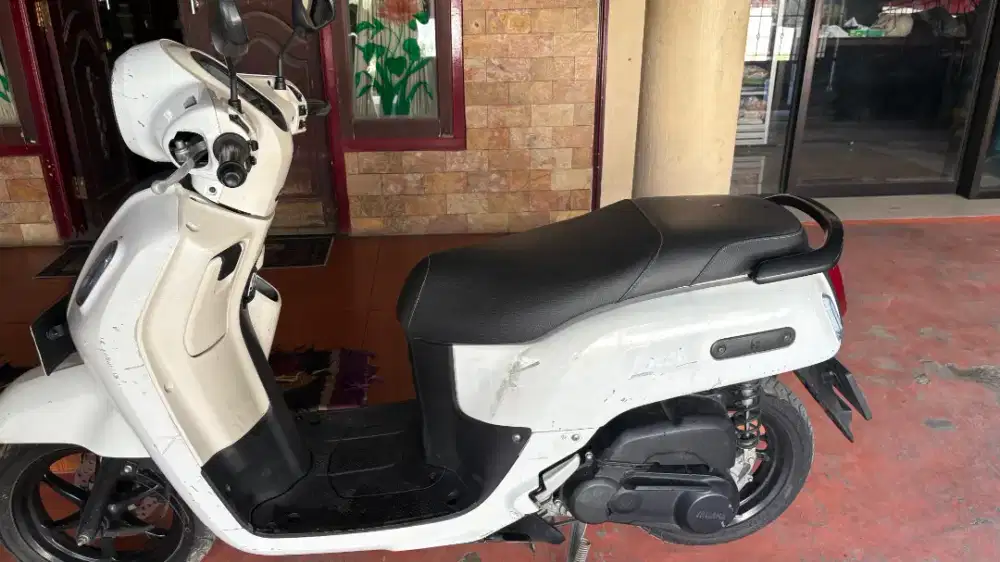 Fazzio 2022 tangan pertama