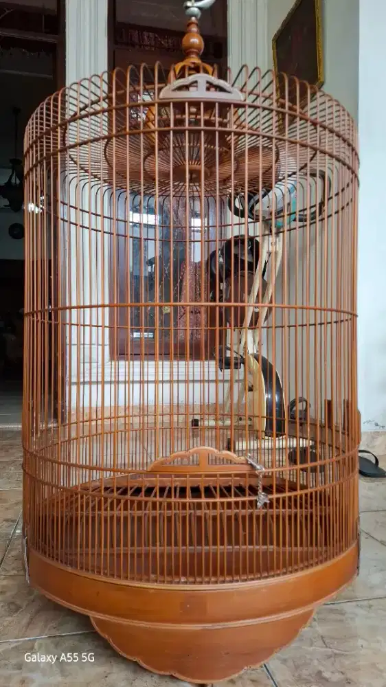 Sangkar/KANDANG murai SOLOAN HALUSS & PRESISI KOKOH [ finishing joss ]