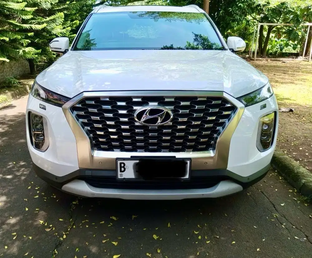 Jual Palisade putih tahun 2021