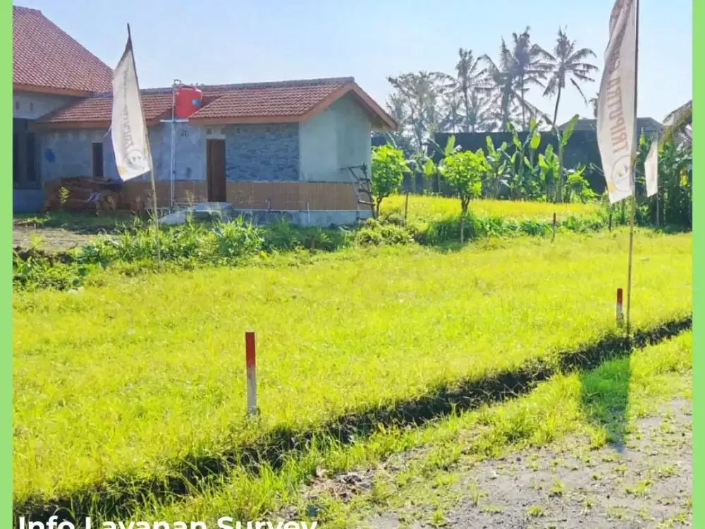 Tanah Jogja Timur Pasar Gentan View Pesawahan SHM Pekarangan