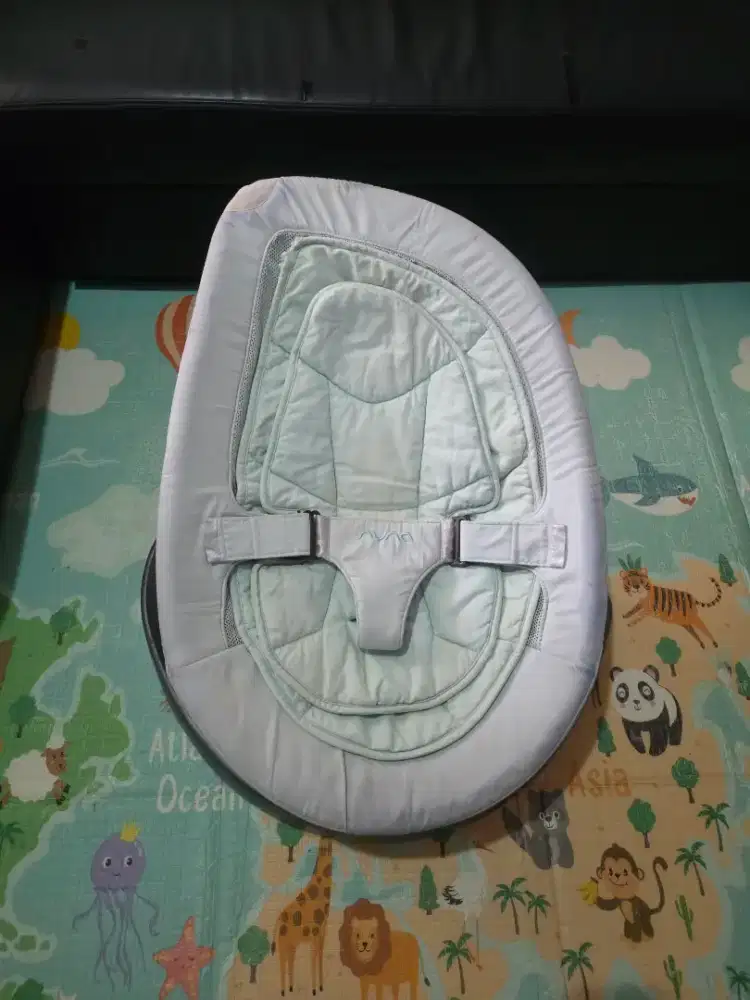 Bouncer/Ayunan Nuna Leaf Grow