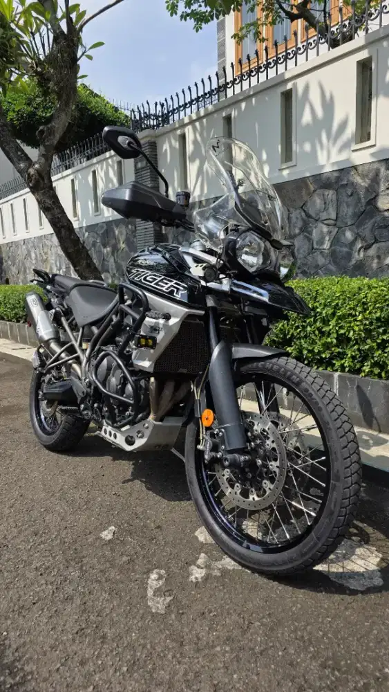 Triumph TIGER 800 XCX