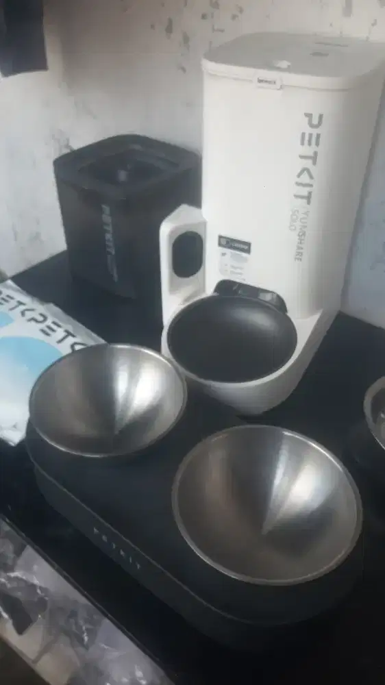 Tempat Makan Kucing Kamera