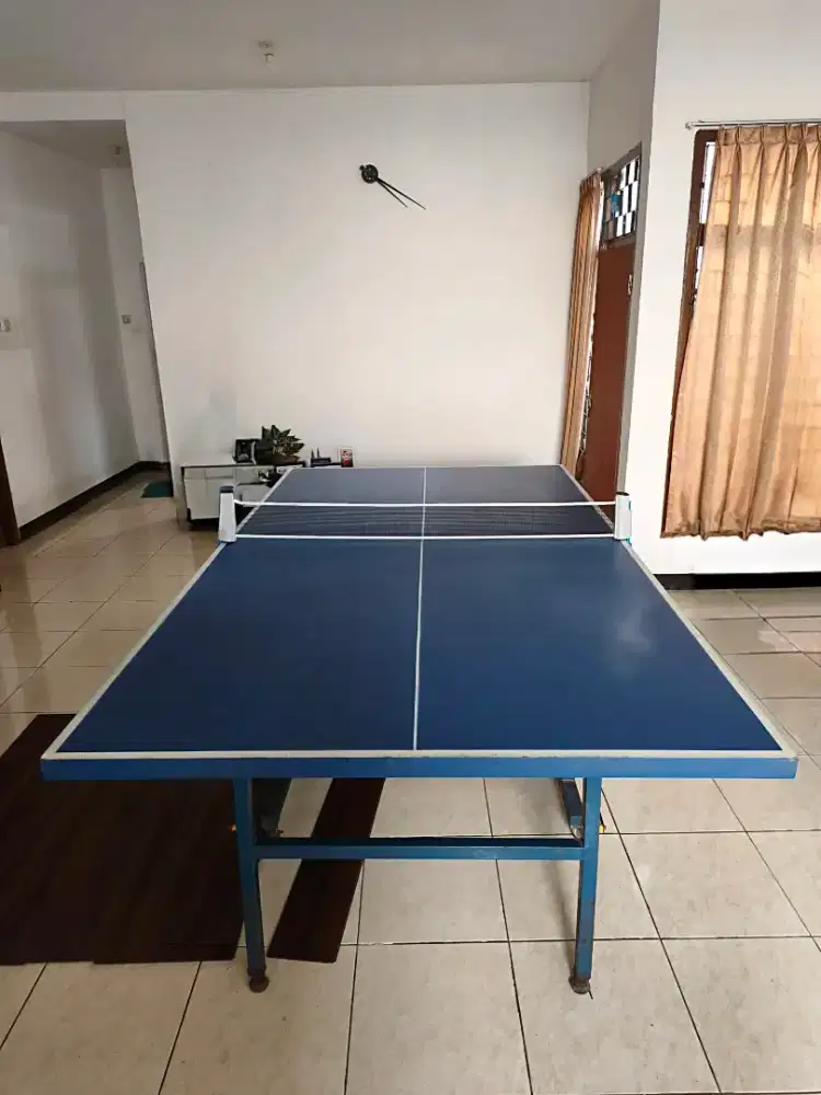 Table Tennis bekas