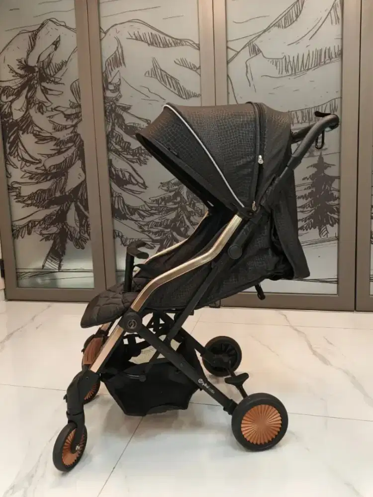 Hybrid Cabi Sport stroller 