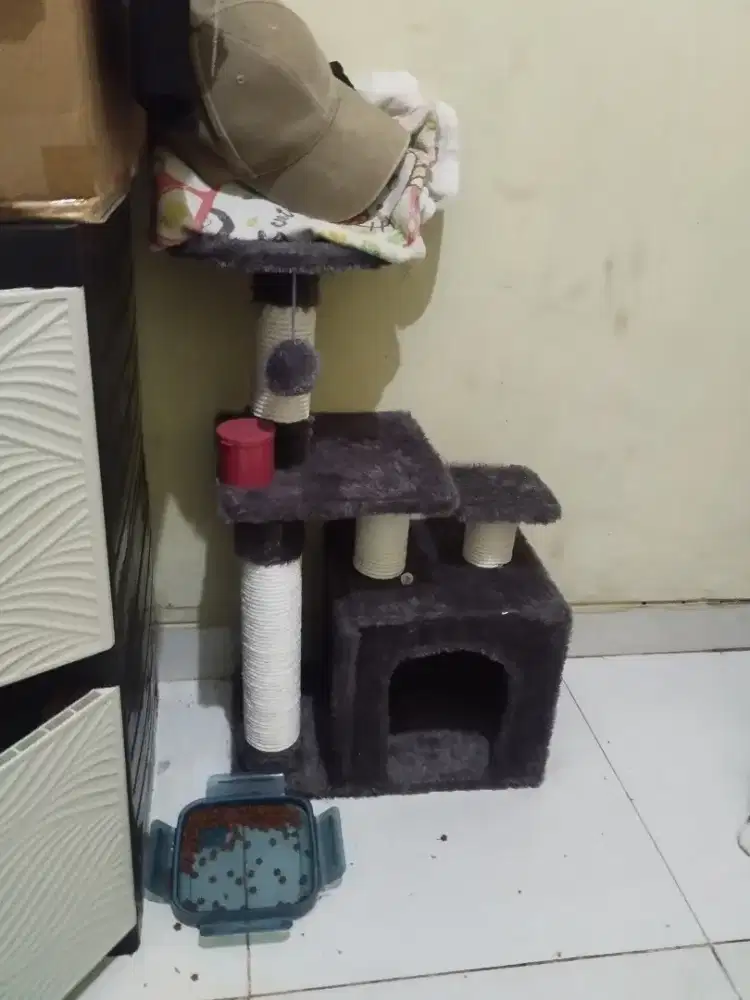 Cat tree dan kipas standing
