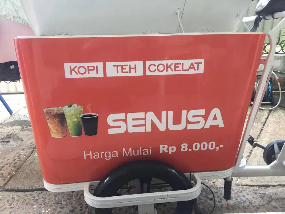 Dijual Cepat Sepeda Listrik Selis Mandalika + Box Fiber Glass