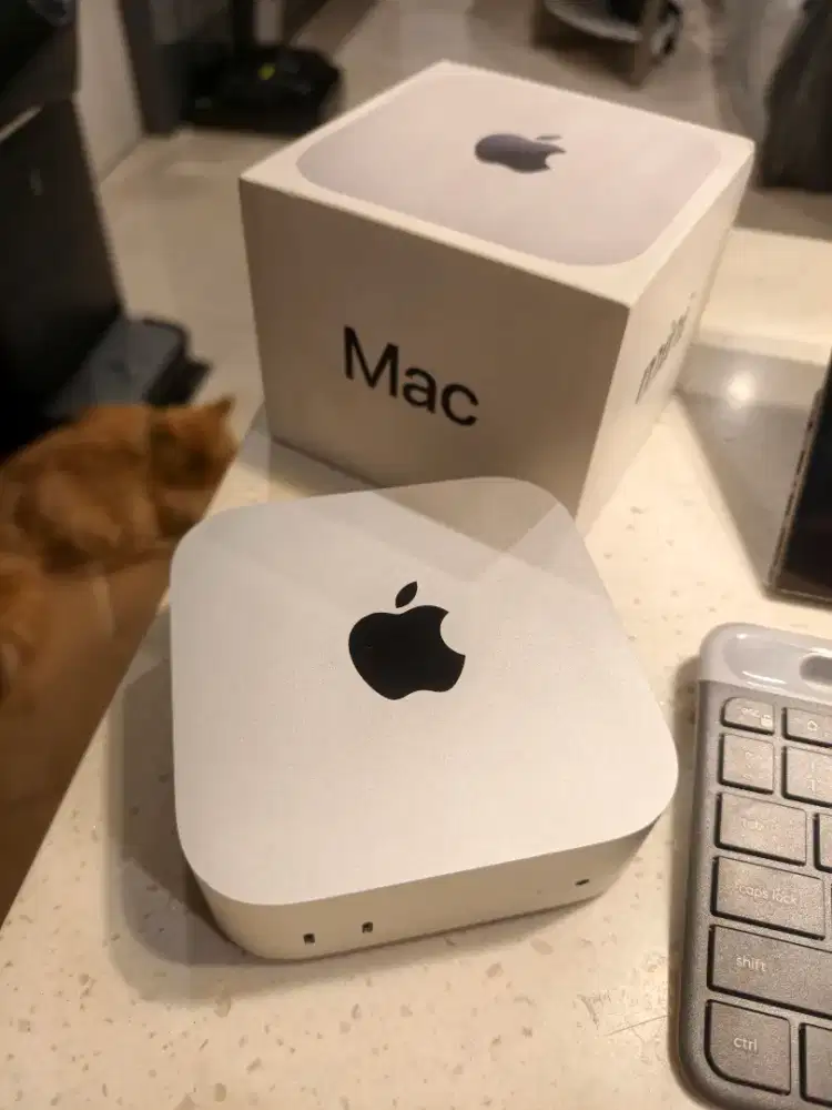 Ultimate Desk Setup: Mac Mini M4 16GB RAM | 4K OLED | Logi K580 & M196