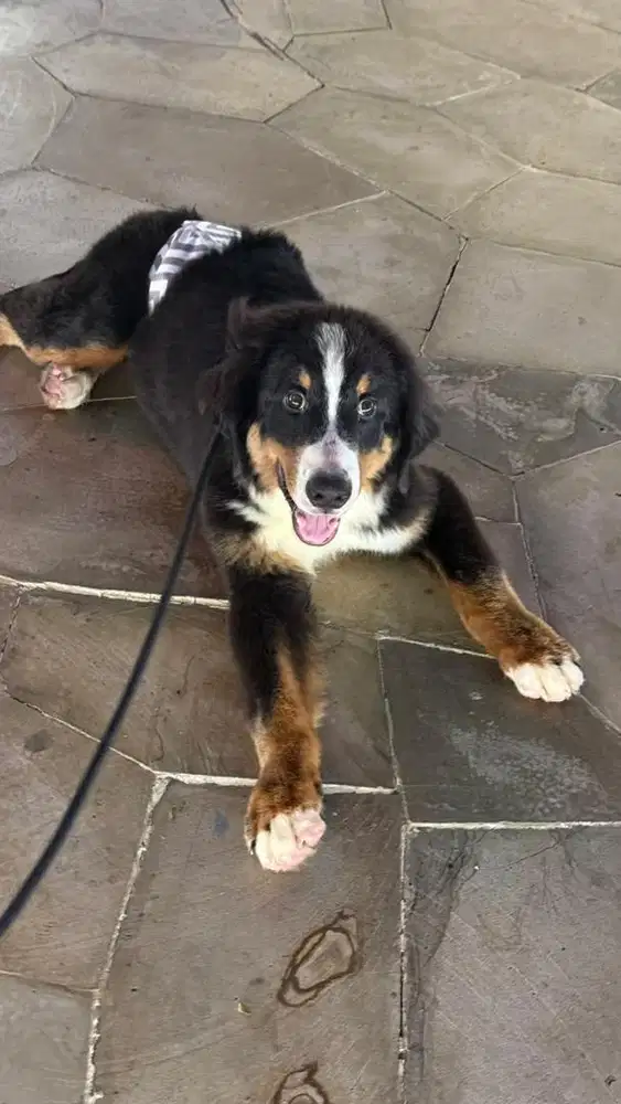 ART perempuan kerja secepatnya 2jt