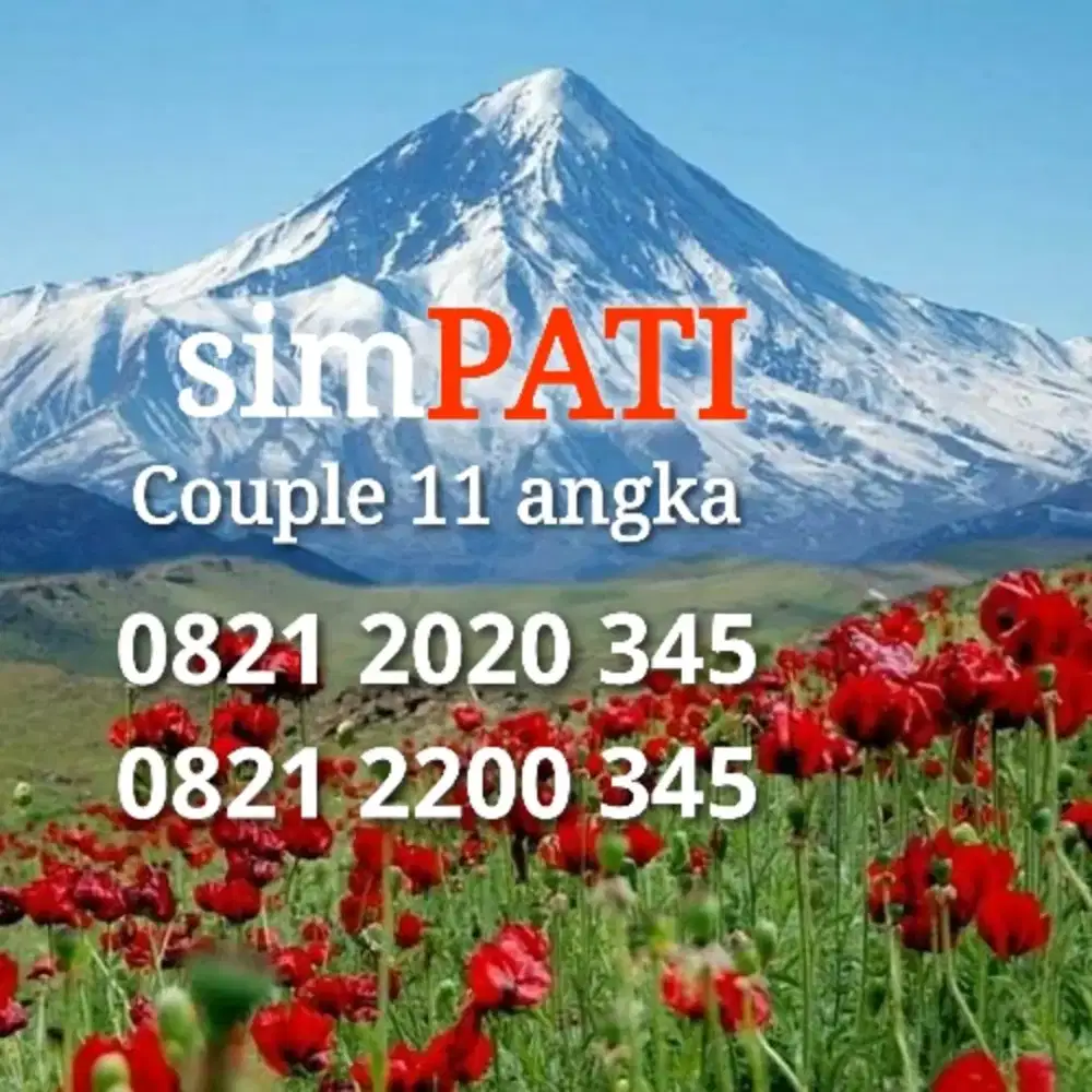 Sepasang nomor cantik 11 angka