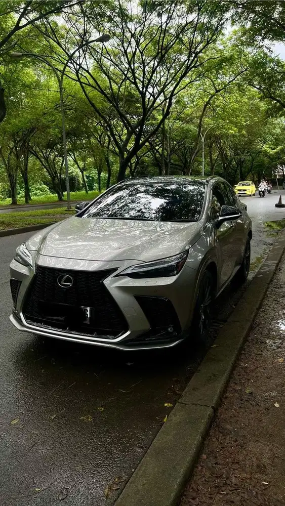 Lexus NX 350F Sport 2024 Hybrid Warna Titanium