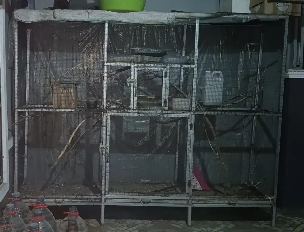 DijuaL Aviary Mini Burung Bekas